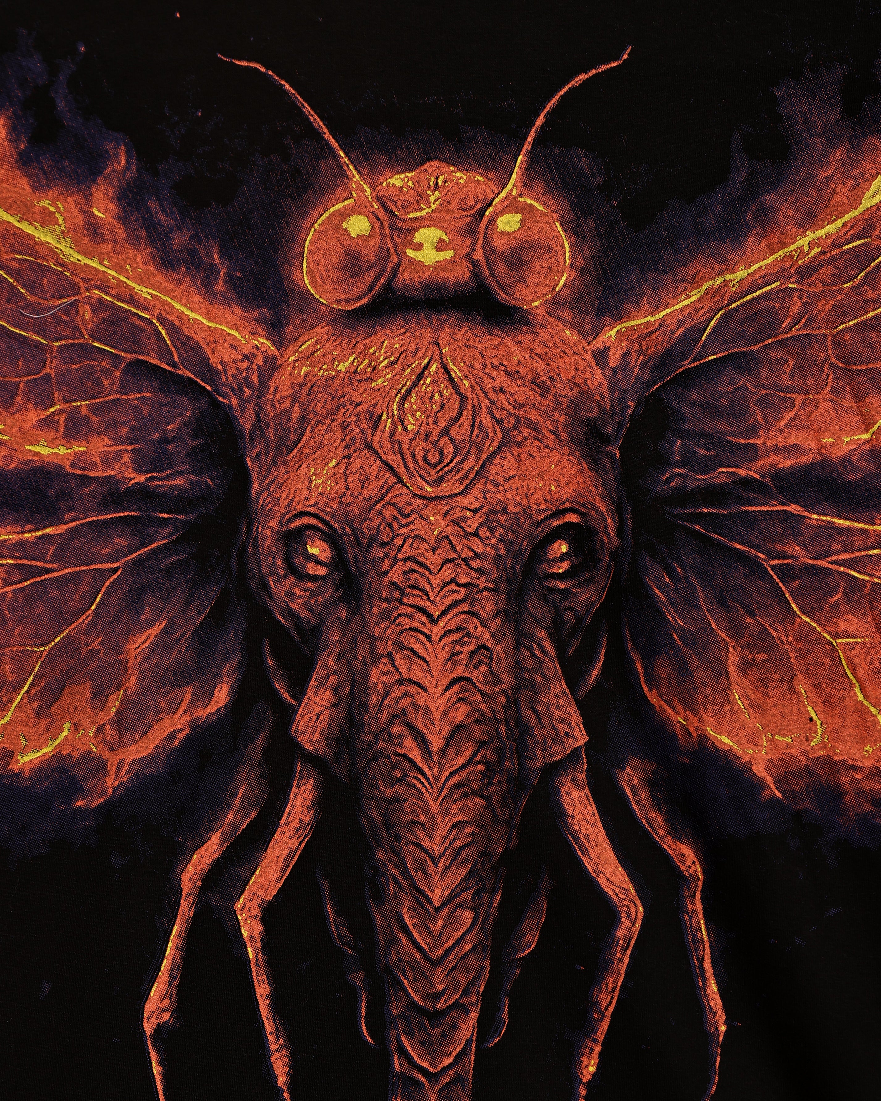 The Asura Moth